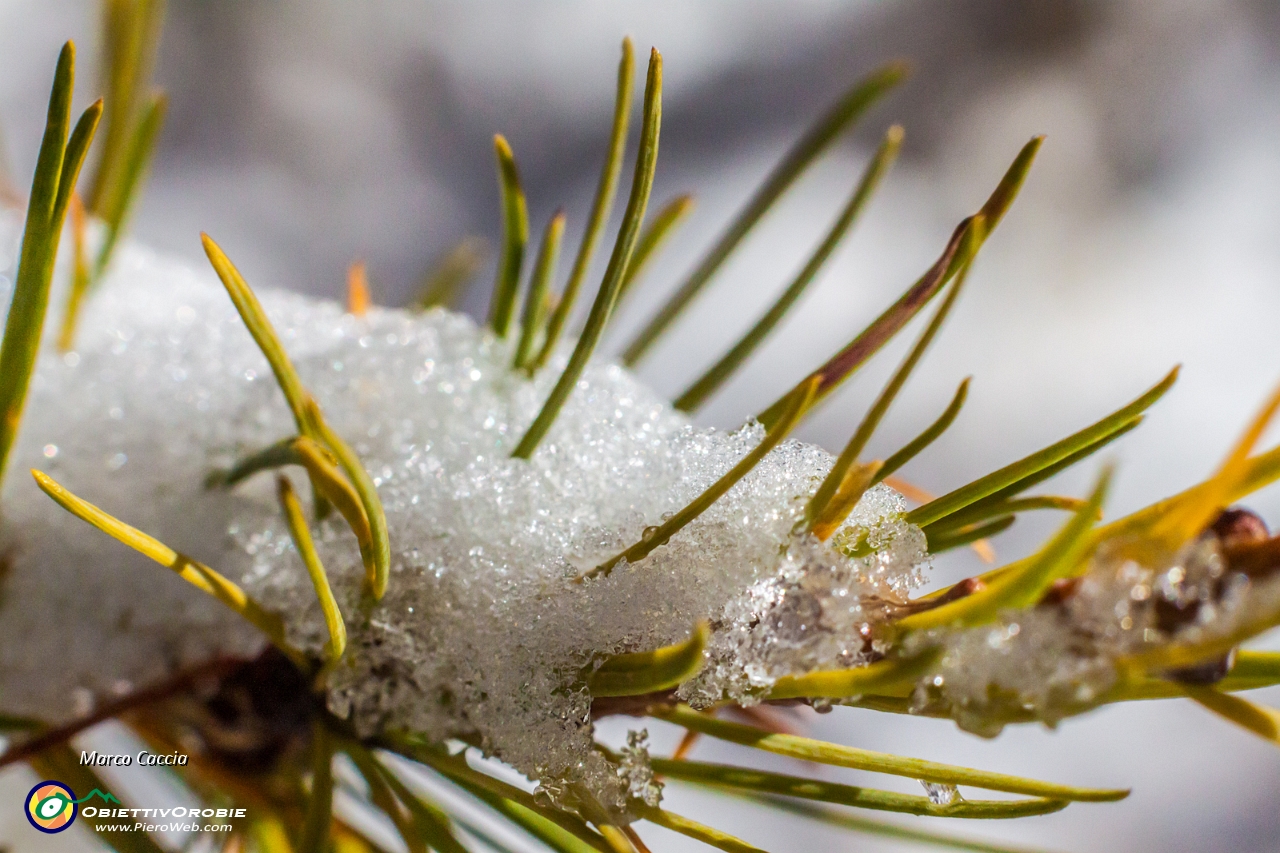 La prima neve autunnale al Calvi-53.JPG